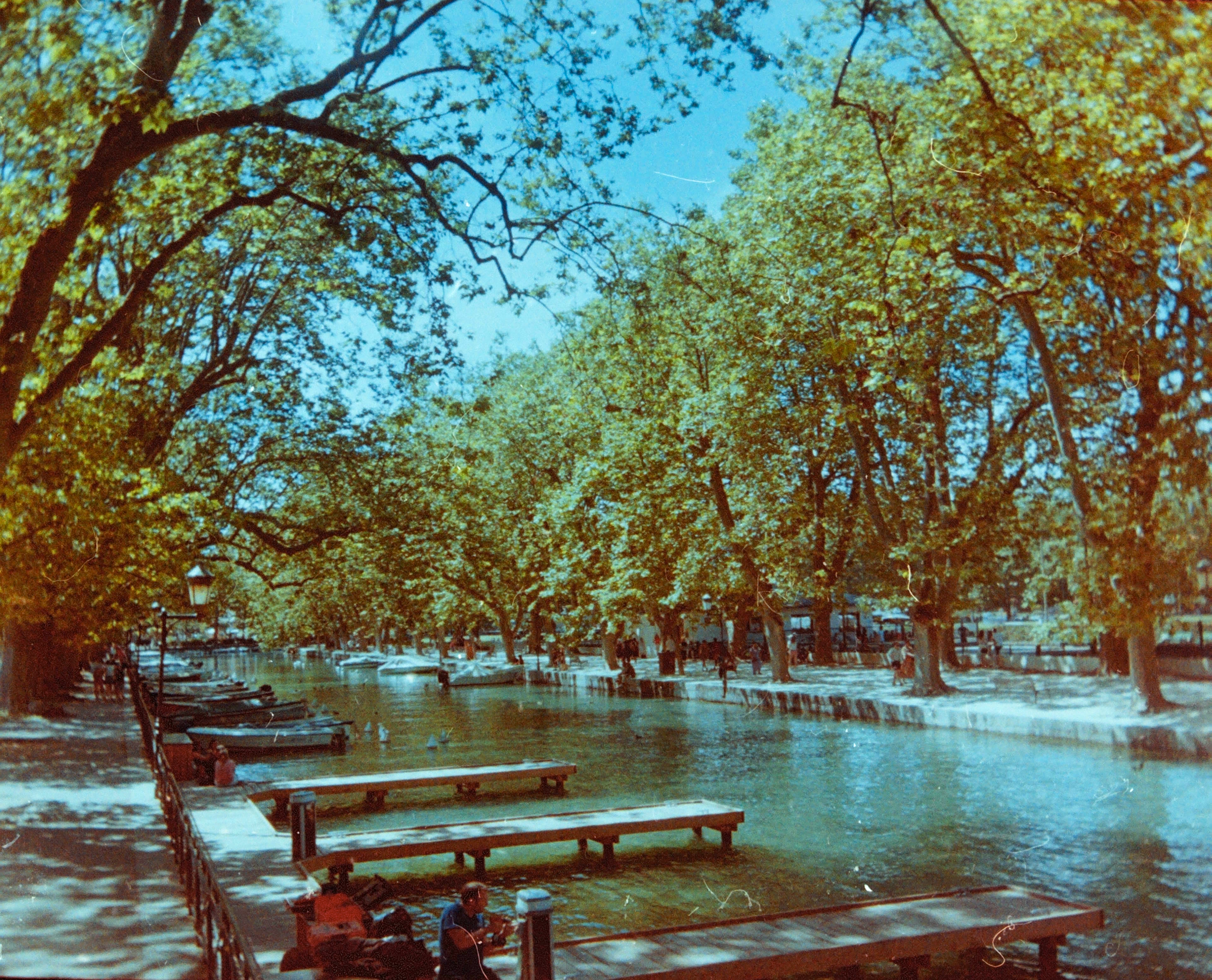 Annecy on Film